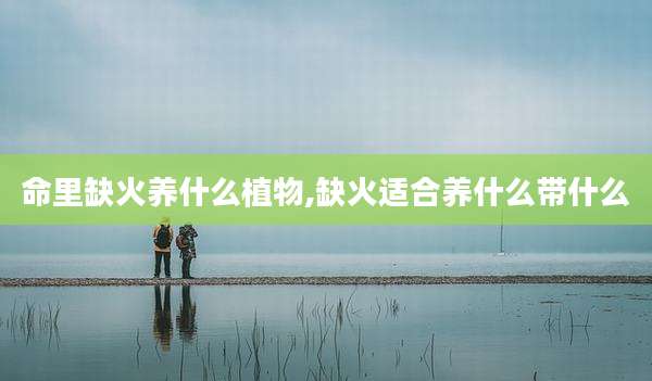 命里缺火养什么植物,缺火适合养什么带什么