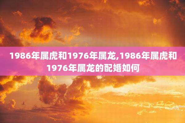 1986年属虎和1976年属龙,1986年属虎和1976年属龙的配婚如何