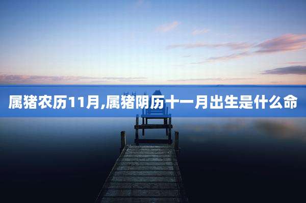 属猪农历11月,属猪阴历十一月出生是什么命