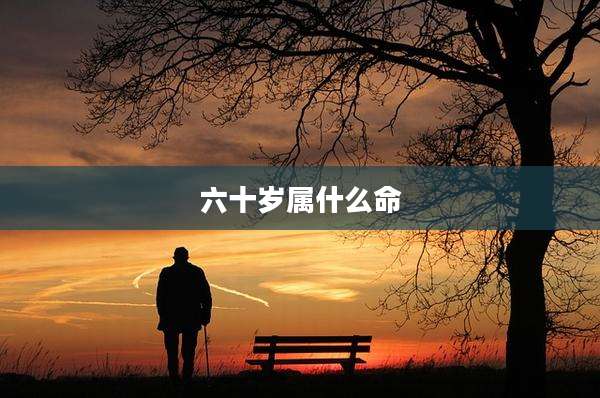 六十岁属什么命