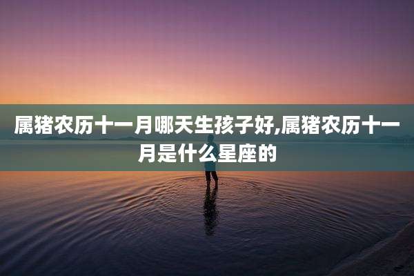属猪农历十一月哪天生孩子好,属猪农历十一月是什么星座的