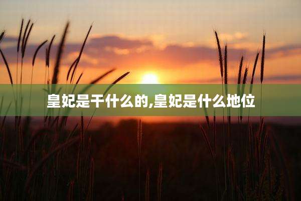 皇妃是干什么的,皇妃是什么地位