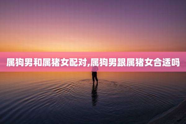 属狗男和属猪女配对,属狗男跟属猪女合适吗