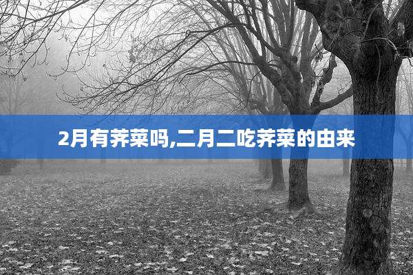 2月有荠菜吗,二月二吃荠菜的由来