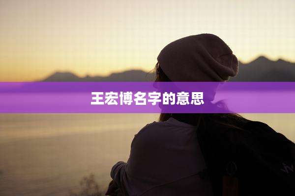 王宏博名字的意思