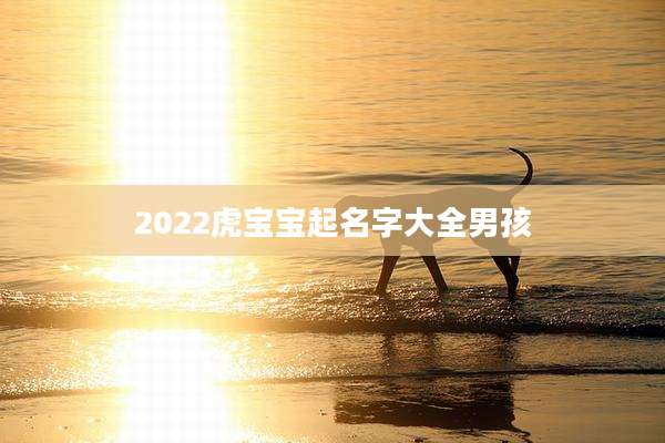 2022虎宝宝起名字大全男孩
