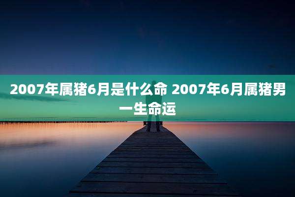 2007年属猪6月是什么命 2007年6月属猪男一生命运