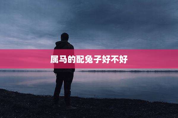 属马的配兔子好不好