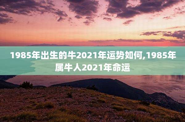 1985年出生的牛2021年运势如何,1985年属牛人2021年命运