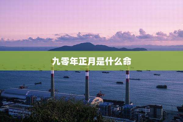 九零年正月是什么命