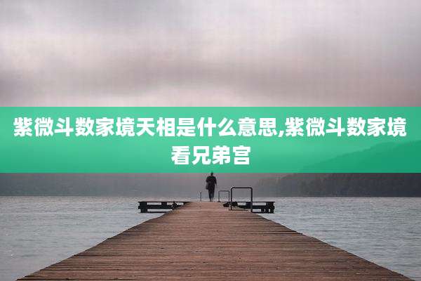 紫微斗数家境天相是什么意思,紫微斗数家境看兄弟宫