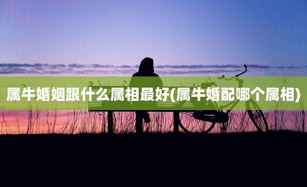 属牛婚姻跟什么属相最好(属牛婚配哪个属相)