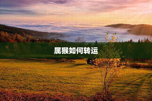 属猴如何转运