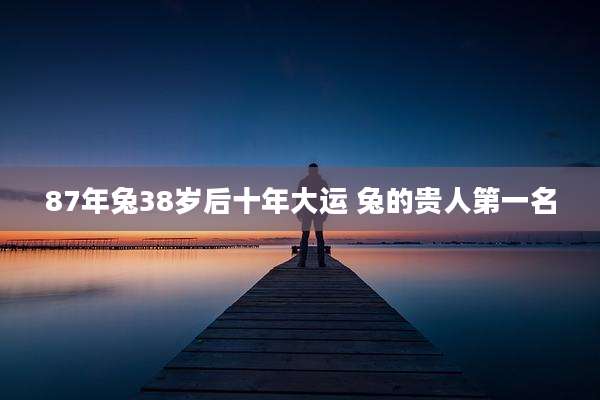87年兔38岁后十年大运 兔的贵人第一名