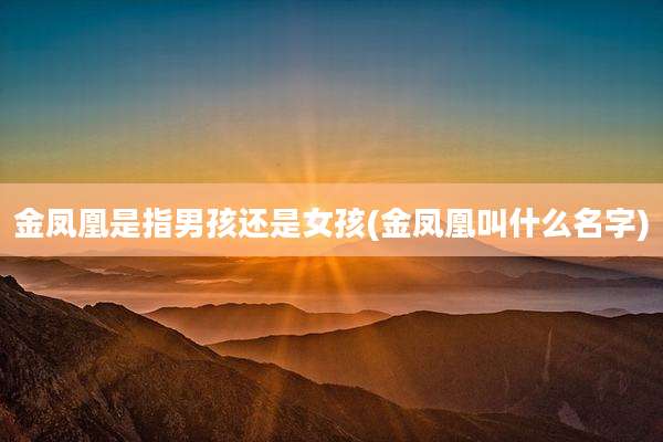 金凤凰是指男孩还是女孩(金凤凰叫什么名字)