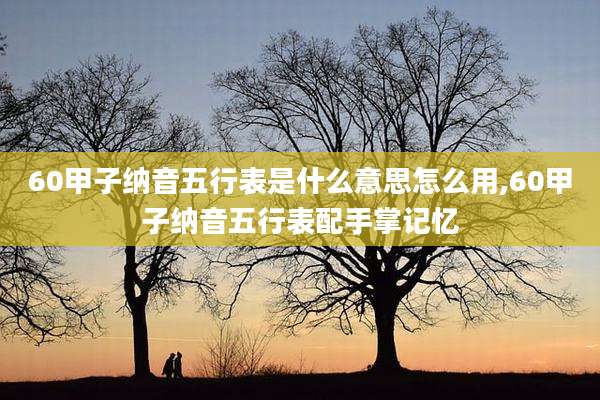 60甲子纳音五行表是什么意思怎么用,60甲子纳音五行表配手掌记忆