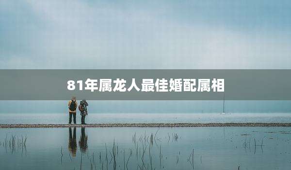 81年属龙人最佳婚配属相