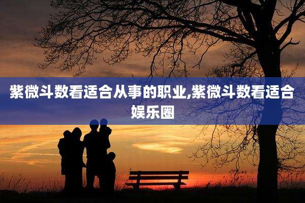 紫微斗数看适合从事的职业,紫微斗数看适合娱乐圈