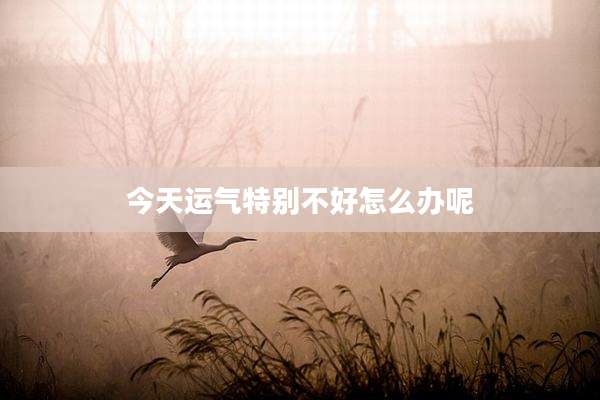 今天运气特别不好怎么办呢