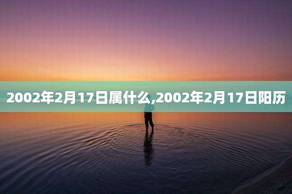 2002年2月17日属什么,2002年2月17日阳历