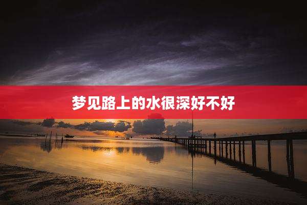 梦见路上的水很深好不好