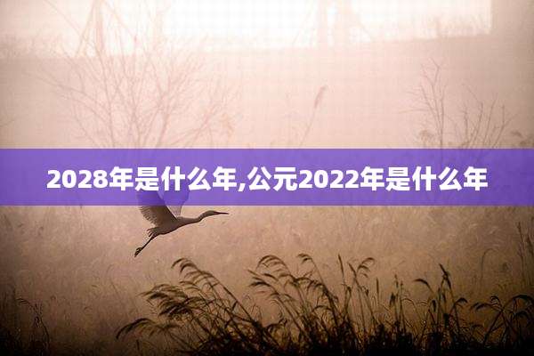 2028年是什么年,公元2022年是什么年