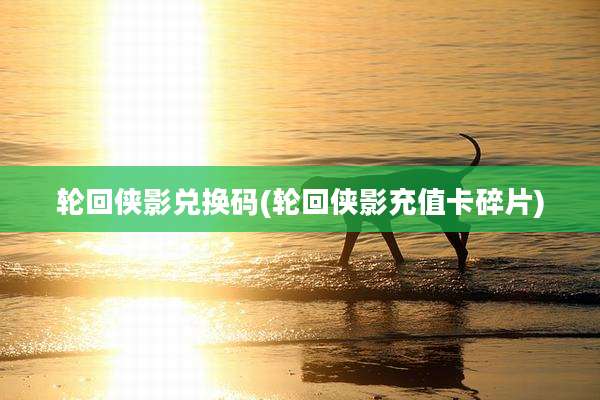 轮回侠影兑换码(轮回侠影充值卡碎片)