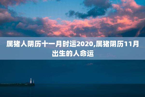 属猪人阴历十一月时运2020,属猪阴历11月出生的人命运