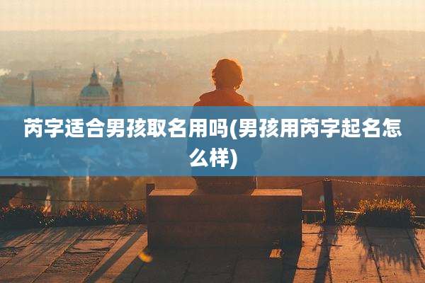 芮字适合男孩取名用吗(男孩用芮字起名怎么样)