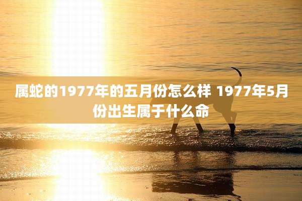 属蛇的1977年的五月份怎么样 1977年5月份出生属于什么命