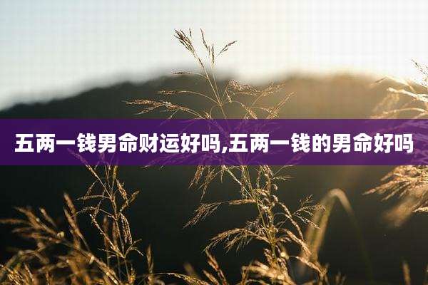 五两一钱男命财运好吗,五两一钱的男命好吗