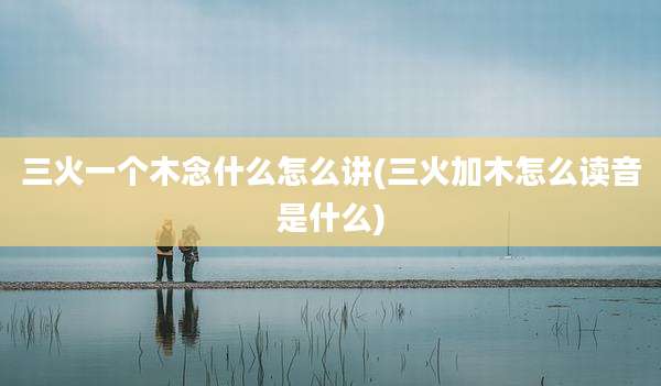 三火一个木念什么怎么讲(三火加木怎么读音是什么)