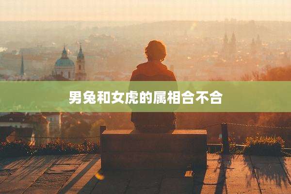 男兔和女虎的属相合不合