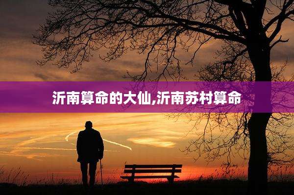 沂南算命的大仙,沂南苏村算命