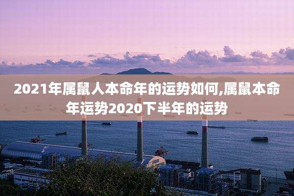 2021年属鼠人本命年的运势如何,属鼠本命年运势2020下半年的运势