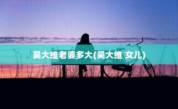吴大维老婆多大(吴大维 女儿)