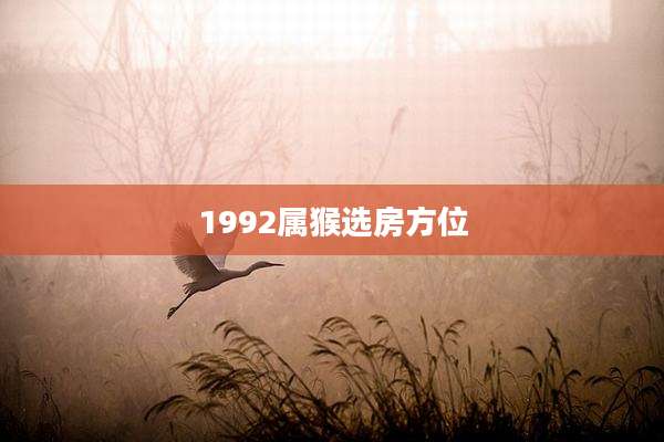 1992属猴选房方位