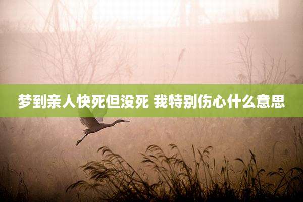 梦到亲人快死但没死 我特别伤心什么意思