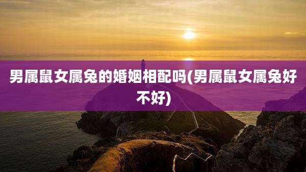 男属鼠女属兔的婚姻相配吗(男属鼠女属兔好不好)