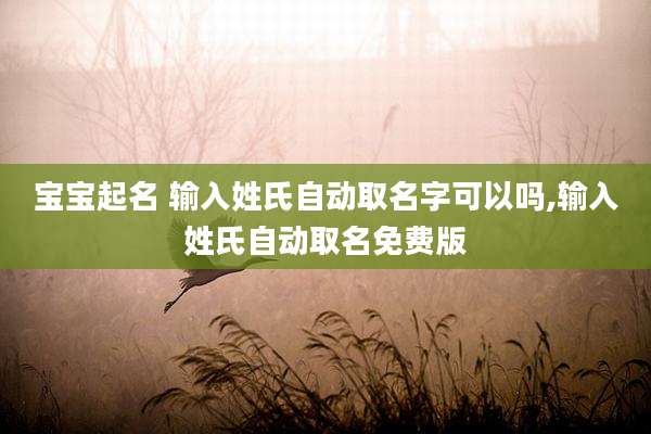 宝宝起名 输入姓氏自动取名字可以吗,输入姓氏自动取名免费版