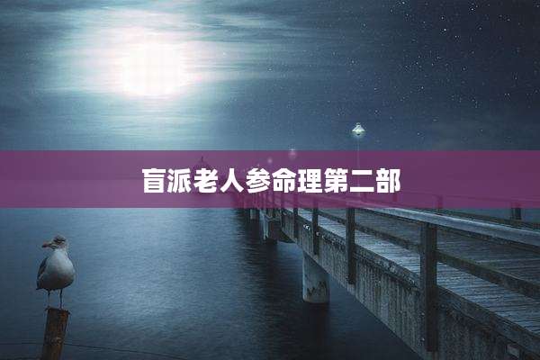 盲派老人参命理第二部