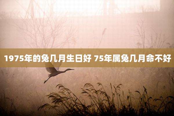 1975年的兔几月生日好 75年属兔几月命不好