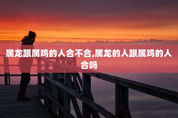 属龙跟属鸡的人合不合,属龙的人跟属鸡的人合吗