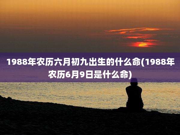1988年农历六月初九出生的什么命(1988年农历6月9日是什么命)