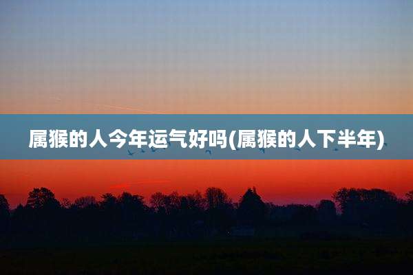 属猴的人今年运气好吗(属猴的人下半年)