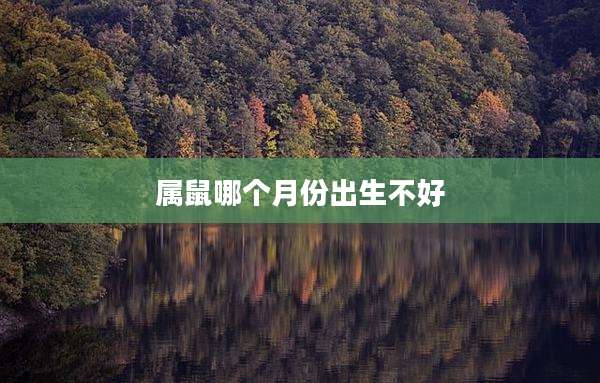 属鼠哪个月份出生不好
