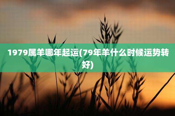 1979属羊哪年起运(79年羊什么时候运势转好)