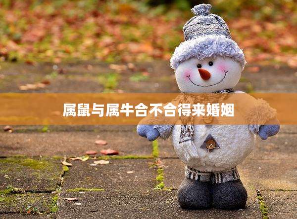 属鼠与属牛合不合得来婚姻