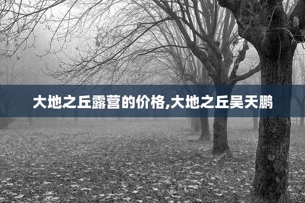 大地之丘露营的价格,大地之丘吴天鹏