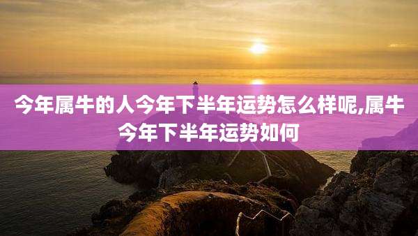 今年属牛的人今年下半年运势怎么样呢,属牛今年下半年运势如何